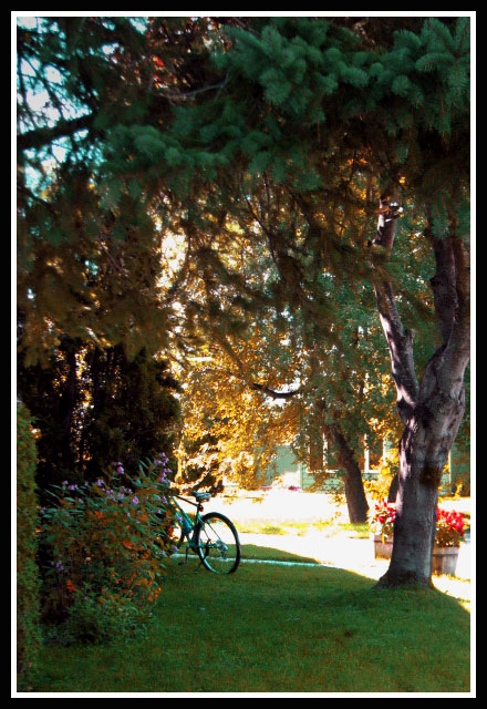 Bicicleta entre flores en Canadá