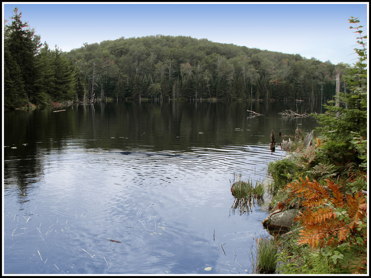 Lago en otoño, Canadá.