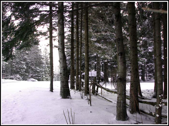 Nevada de noviembre en canadá