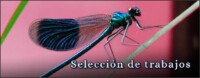 Galería de trabajos seleccionados